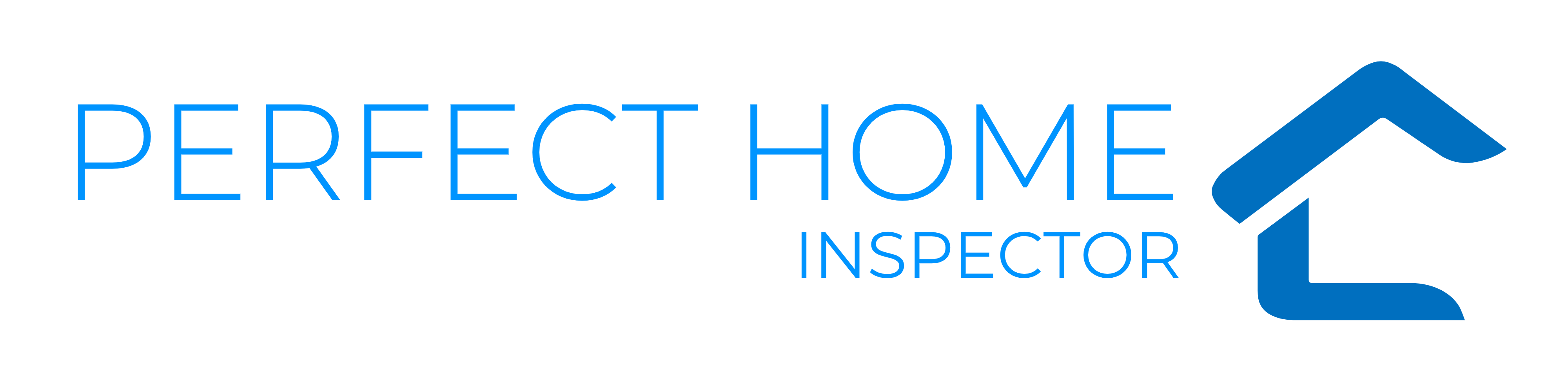 Perfect Home Inspector
